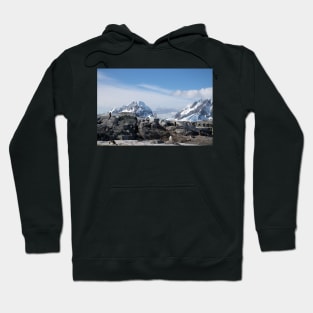 Gentoo penguins on Petermann Island Hoodie